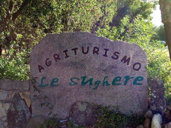 Le Sughere Padru Extérieur photo