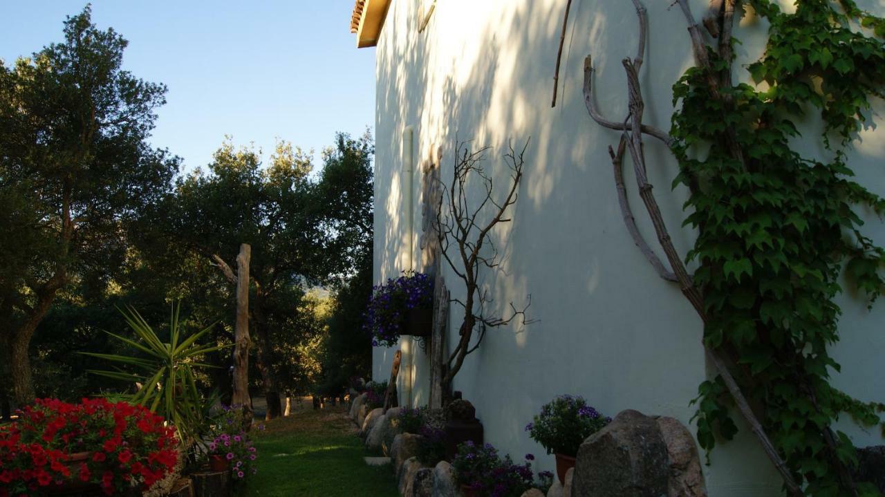 Le Sughere Padru Extérieur photo
