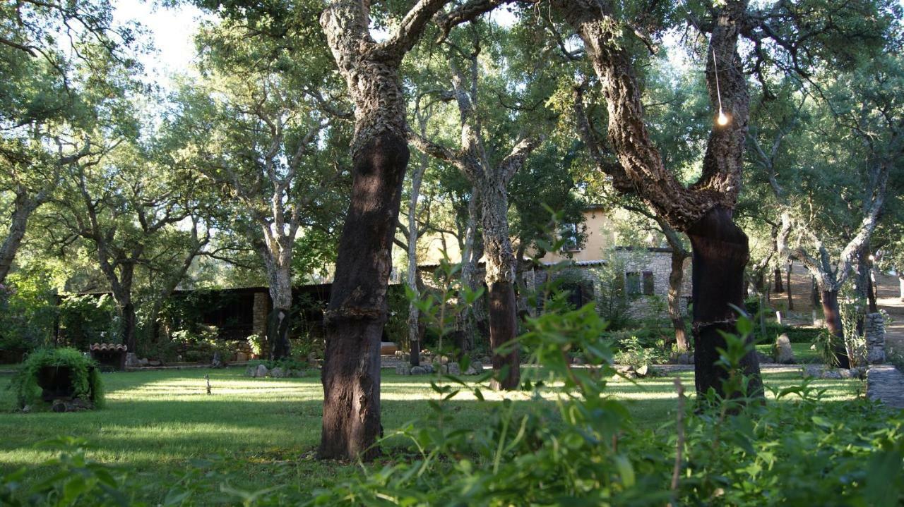 Le Sughere Padru Extérieur photo